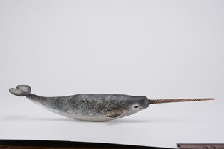 COLLECTA NARWAL 4