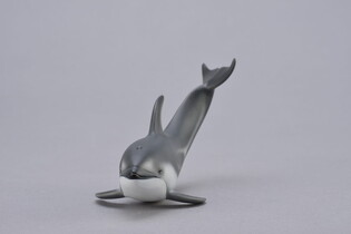 COLLECTA DELFIN PACYFICZNY 5