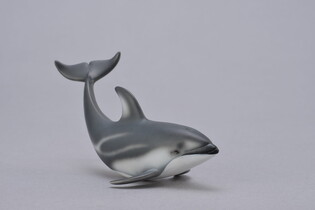 COLLECTA DELFIN PACYFICZNY 6