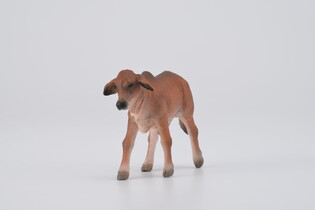 COLLECTA CIELĘ CZERWONE BRAHMAN 3