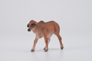 COLLECTA CIELĘ CZERWONE BRAHMAN 4