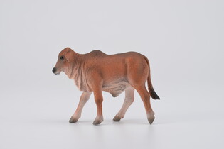 COLLECTA CIELĘ CZERWONE BRAHMAN 5