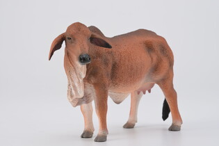 COLLECTA KROWA CZERWONA BRAHMAN 3