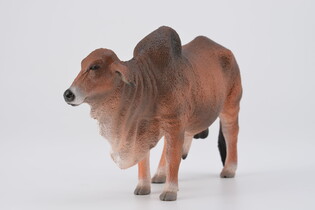 COLLECTA BYK CZERWONY BRAHMAN 3