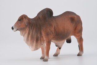 COLLECTA BYK CZERWONY BRAHMAN 4