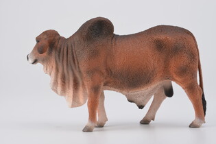COLLECTA BYK CZERWONY BRAHMAN 5