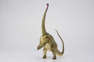 COLLECTA DINOZAUR DIPLODOK 4