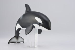 COLLECTA ORKA MŁODE 4