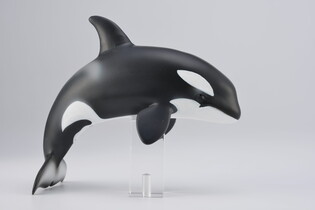 COLLECTA ORKA MŁODE 5