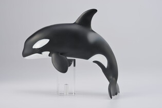 COLLECTA ORKA MŁODE 6