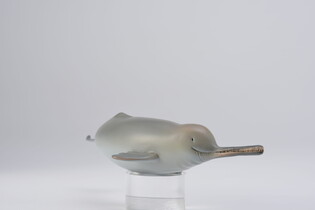 COLLECTA DELFIN Z RZEKI GANGES 6