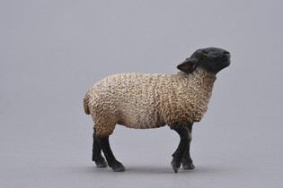 COLLECTA OWCA SUFFOLK 3