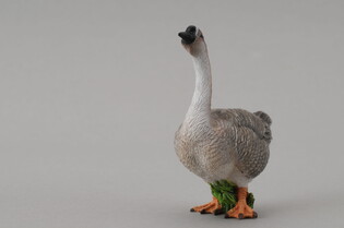 COLLECTA GĘŚ 5