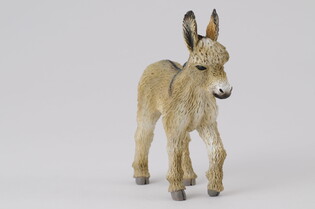 COLLECTA ŹREBIE OSŁA - IDĄCE 5