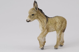COLLECTA ŹREBIE OSŁA - IDĄCE 6