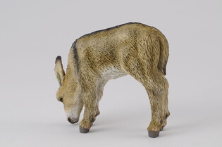 COLLECTA ŹREBIE OSŁA PASĄCE SIĘ 3