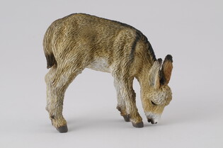 COLLECTA ŹREBIE OSŁA PASĄCE SIĘ 4