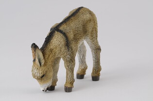 COLLECTA ŹREBIE OSŁA PASĄCE SIĘ 5