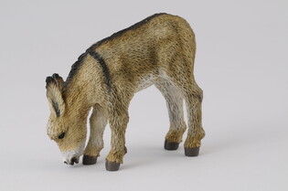 COLLECTA ŹREBIE OSŁA PASĄCE SIĘ 6