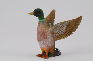 COLLECTA SAMIEC KACZKI KRZYŻÓWKI 3
