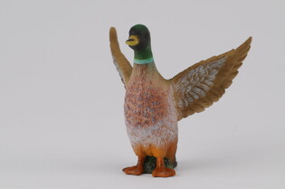 COLLECTA SAMIEC KACZKI KRZYŻÓWKI 4
