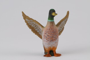 COLLECTA SAMIEC KACZKI KRZYŻÓWKI 5