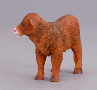 COLLECTA SZKOCKIE CIELĘ GÓRSKIE STOJĄCE 3