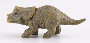 COLLECTA DINOZAUR MŁODY TRICERATOPS 3