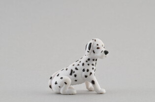 COLLECTA  DALMATYŃCZYK SZCZENIAK 5