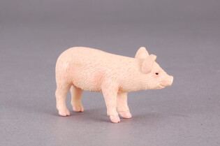 COLLECTA PROSIĘ STOJĄCE 5