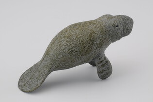 COLLECTA SŁOŃ MORSKI MŁODY PŁYWAJĄCY 3