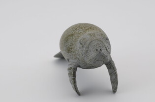COLLECTA SŁOŃ MORSKI MŁODY PŁYWAJĄCY 6