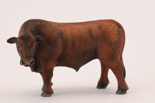 COLLECTA BYK CZERWONY ANGUS 3
