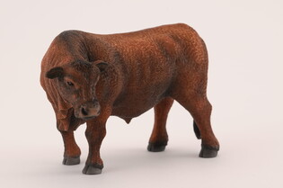COLLECTA BYK CZERWONY ANGUS 4