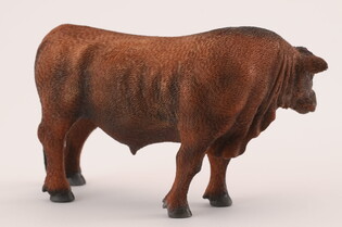 COLLECTA BYK CZERWONY ANGUS 5