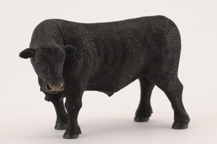 COLLECTA BYK CZARNY ANGUS 3