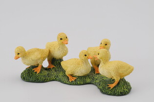 COLLECTA KACZUSZKI 3