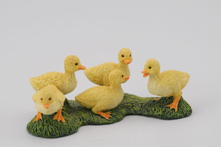 COLLECTA KACZUSZKI 4