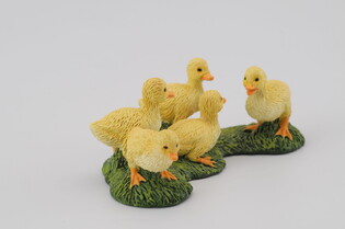 COLLECTA KACZUSZKI 5