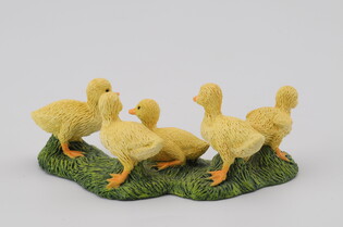 COLLECTA KACZUSZKI 6