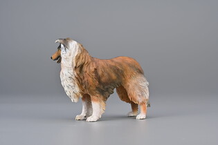 COLLECTA OWCZAREK SZKOCKI DŁUGOWŁOSY 4