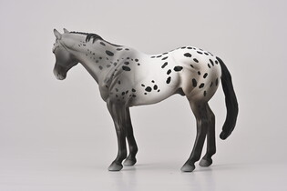 COLLECTA NIEBIESKI DERESZ APPALOOSA 5