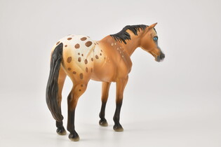 COLLECTA OGIER APPALOOSE JASNOBRĄZOWY 3
