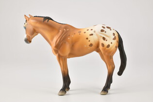 COLLECTA OGIER APPALOOSE JASNOBRĄZOWY 4