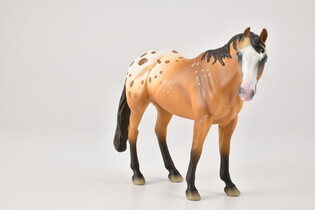 COLLECTA OGIER APPALOOSE JASNOBRĄZOWY 5