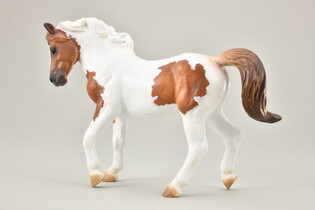 COLLECTA CHINCOTEAGUE PONY MAŚCI KASZTANOWATEJ PINTO
 3