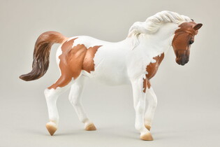 COLLECTA CHINCOTEAGUE PONY MAŚCI KASZTANOWATEJ PINTO
 4