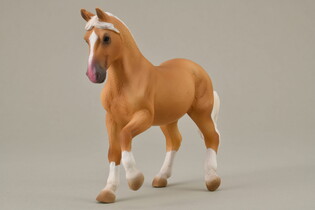 COLLECTA KLACZ PASO FINO PALOMINO 3