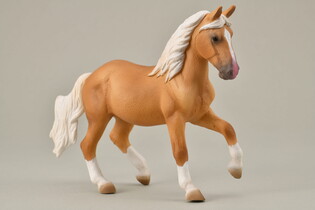 COLLECTA KLACZ PASO FINO PALOMINO 4