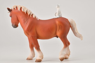 COLLECTA KOŃ DRAFT Z KOTEM 4